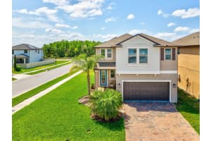 8630 CAMPUS WOODS WAY, NEW PORT RICHEY, FL 34655 - MLS#MFRW7875054