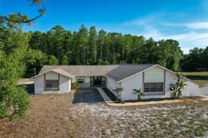 10228 BEECHCRAFT STREET, NEW PORT RICHEY, FL 34654 Sold 09/12/25