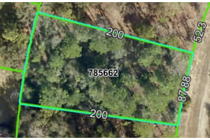 13439 CORMORANT ROAD, BROOKSVILLE, FL 34614 - MLS#MFRW7875144