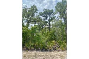 13439 CORMORANT ROAD, BROOKSVILLE, FL 34614 - MLS#MFRW7875144