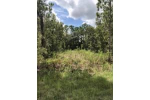 14040 RUFFED GROUSE ROAD, BROOKSVILLE, FL 34614 - MLS#MFRW7875145