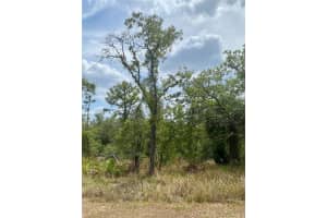 12440 MEINERT AVENUE, BROOKSVILLE, FL 34613 - MLS#MFRW7875146