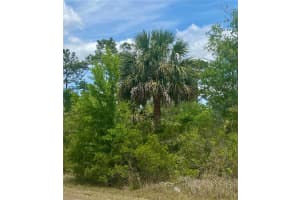 18484 PARALLEL ROAD, WEEKI WACHEE, FL 34614 - MLS#MFRW7875148