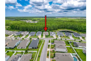 15355 RENAISSANCE AVENUE, ODESSA, FL 33556 Sold 06/13/25