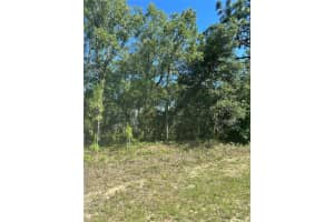 5887 / 5899 BEDSTROW BOULEVARD, DUNNELLON, FL 34434 - MLS#MFRW7875254
