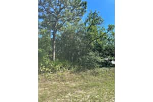 5887 / 5899 BEDSTROW BOULEVARD, DUNNELLON, FL 34434 - MLS#MFRW7875254