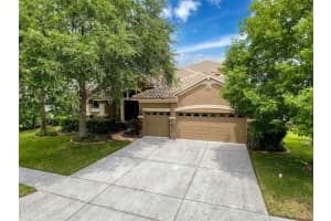9124 TOPNECK ST, NEW PORT RICHEY, FL 34654 - MLS#MFRW7875256