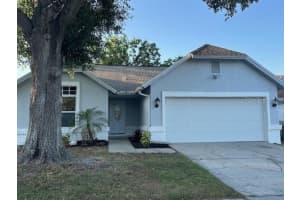 10906 Carnelian Ln, RIVERVIEW