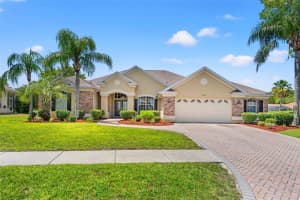 14163 ANDREW SCOTT ROAD, SPRING HILL, FL 34609 Sold 06/20/25