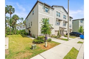 4740 Tuscan Loon Dr, TAMPA