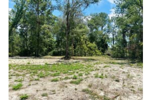 10026 CR 136, LIVE OAK, FL 32060 Sold 07/30/25