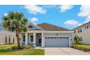11401 Quiet Forest Dr, TAMPA