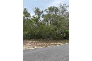 9402 NODDY TERN ROAD, WEEKI WACHEE, FL 34613 Sold 09/19/25