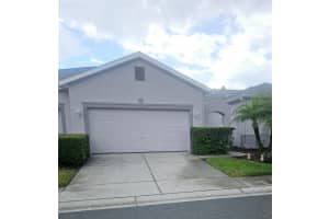 20720 Eustis Rd, LAND O LAKES