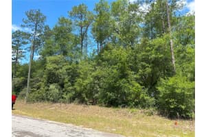 1571 ALEXANDER DRIVE, CITRUS SPRINGS, FL 34434 - MLS#MFRW7875472