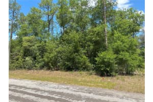 1571 ALEXANDER DRIVE, CITRUS SPRINGS, FL 34434 - MLS#MFRW7875472