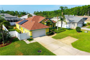21820 CARSON DRIVE, LAND O LAKES, FL 34639 Sold 07/08/25