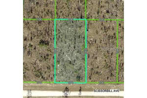 SCISSORBILL AVE, BROOKSVILLE, FL 34614 - MLS#MFRW7875525