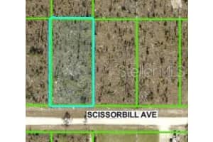 SCISSORBILL AVE, BROOKSVILLE, FL 34614 - MLS#MFRW7875525