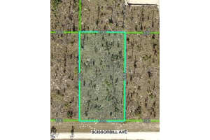 SCISSORBILL AVE, BROOKSVILLE, FL 34614 - MLS#MFRW7875529