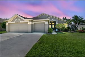 22431 WILLOW LAKES DRIVE, LUTZ, FL 33549 Sold 06/20/25