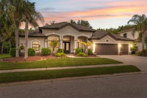 15413 AZRA DRIVE, ODESSA, FL 33556 Sold 06/25/25