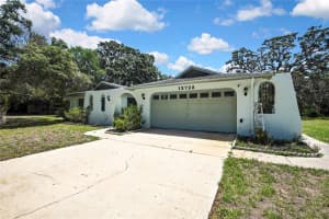 12722 Oak Tree Dr, HUDSON
