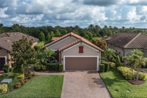 11611 CALLISIA DRIVE, ODESSA, FL 33556 - MLS#MFRW7875574