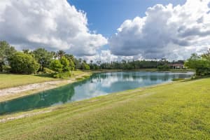 11611 CALLISIA DRIVE, ODESSA, FL 33556 - MLS#MFRW7875574
