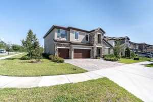 3767 DRAGONFLY TRAIL, ODESSA, FL 33556 - MLS#MFRW7875599