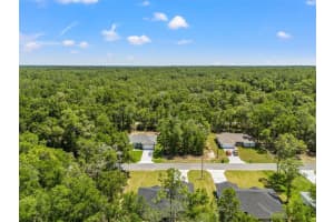 8792 SANDREE DRIVE, DUNNELLON, FL 34434 - MLS#MFRW7875612