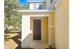 19551 TIMBERBLUFF DRIVE, LAND O LAKES, FL 34638 - MLS#MFRW7875613