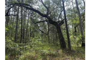 0 EMERSON ROAD, BROOKSVILLE, FL 34601 - MLS#MFRW7875625