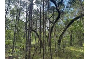 0 EMERSON ROAD, BROOKSVILLE, FL 34601 - MLS#MFRW7875625