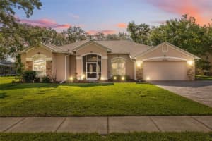 10296 Palmgren Ln, SPRING HILL