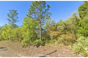 MLS# MFRW7875721, Weeki Wachee, Florida 34614