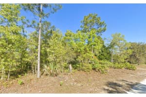 MLS# MFRW7875721, Weeki Wachee, Florida 34614