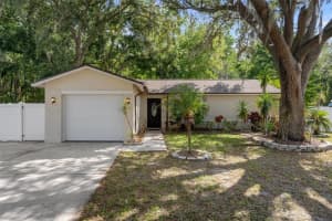 13923 PATHFINDER DRIVE, TAMPA, FL 33625 Sold 06/26/25