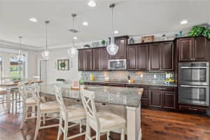 1760 FOX GRAPE LOOP, LUTZ, FL 33558 Sold 07/29/25