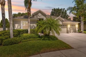 3243 Stonegate Falls Dr, LAND O LAKES
