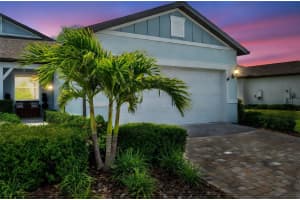 8431 OCEAN TIDES COVE, PARRISH, FL 34219 - MLS#MFRW7875732