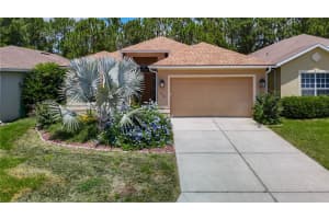 10181 HOLLY BERRY DRIVE, WEEKI WACHEE, FL 34613 Sold 07/22/25