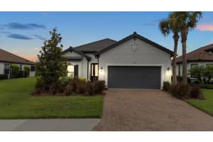 11398 JUGLANS DRIVE, ODESSA, FL 33556 - MLS#MFRW7875778