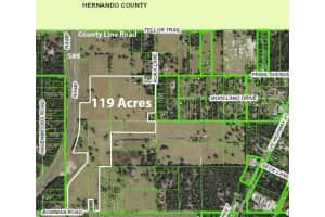 20139 BOWMAN ROAD, SPRING HILL, FL 34610 - MLS#MFRW7875851