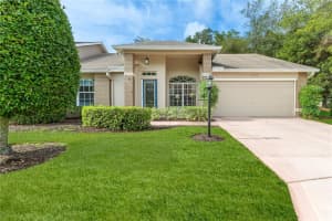 7392 Willow Brook Dr, SPRING HILL