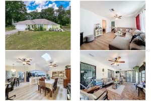 10411 Ireland St, SPRING HILL