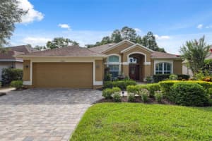19418 MORDEN BLUSH DRIVE, LUTZ, FL 33558 Sold 07/15/25