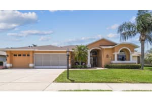18223 Nestlebranch Ct, HUDSON