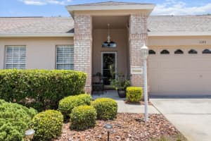 1142 WOLFORD DRIVE, TRINITY, FL 34655 - MLS#MFRW7876034