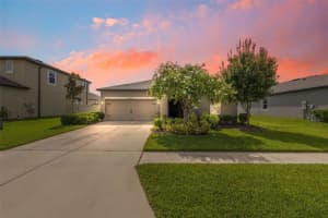 12313 Criollo Rd, SPRING HILL
